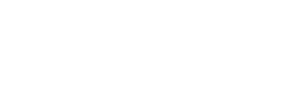 Endolev