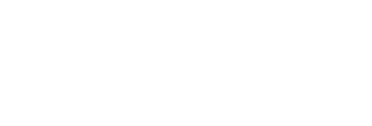 Intituto Stanley Bessa